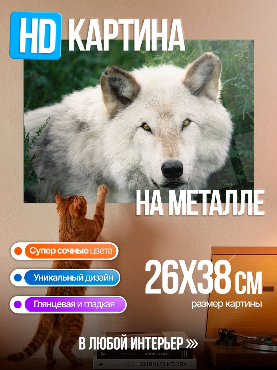 Картина на металле Белый волк