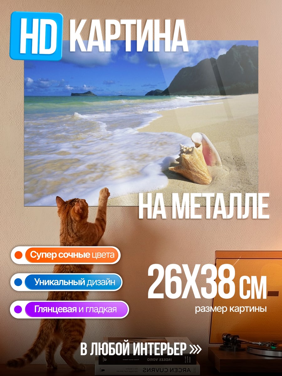 Картина на металле Ракушка на пляже