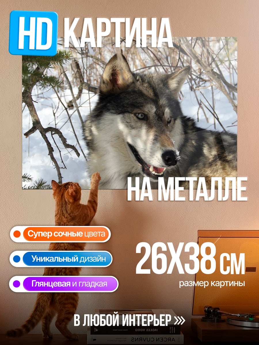 Картина на металле Волк в лесу