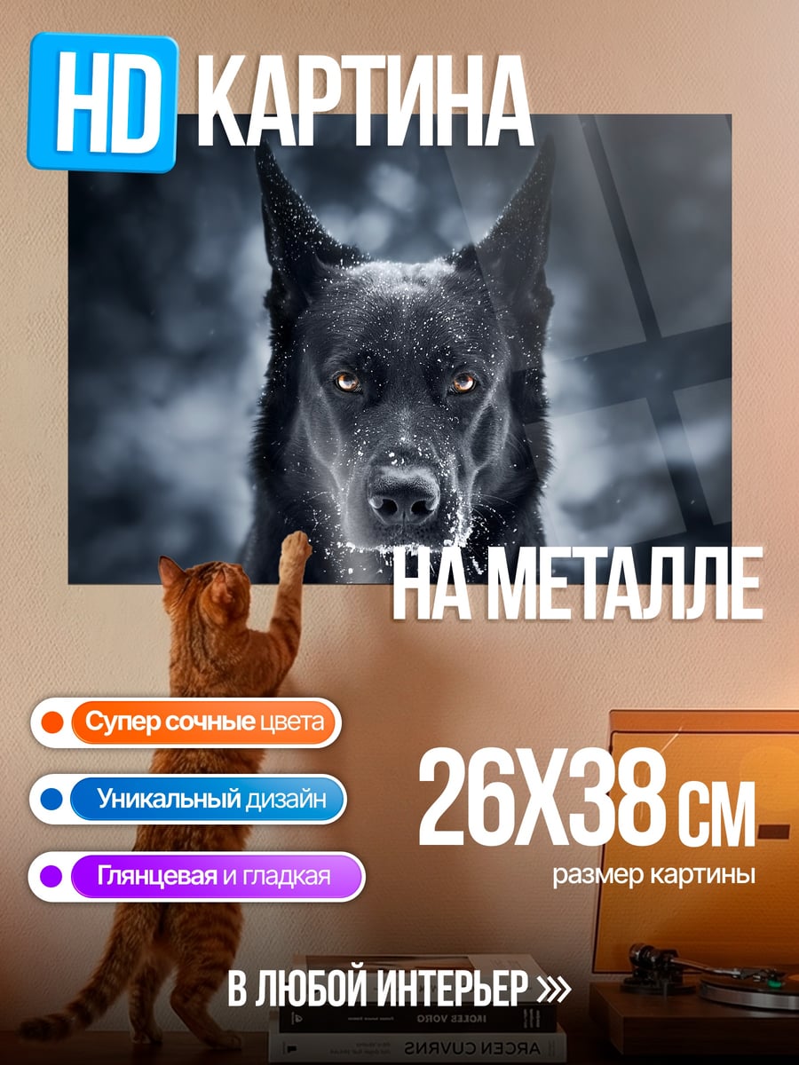 Картина на металле Черный пес зима