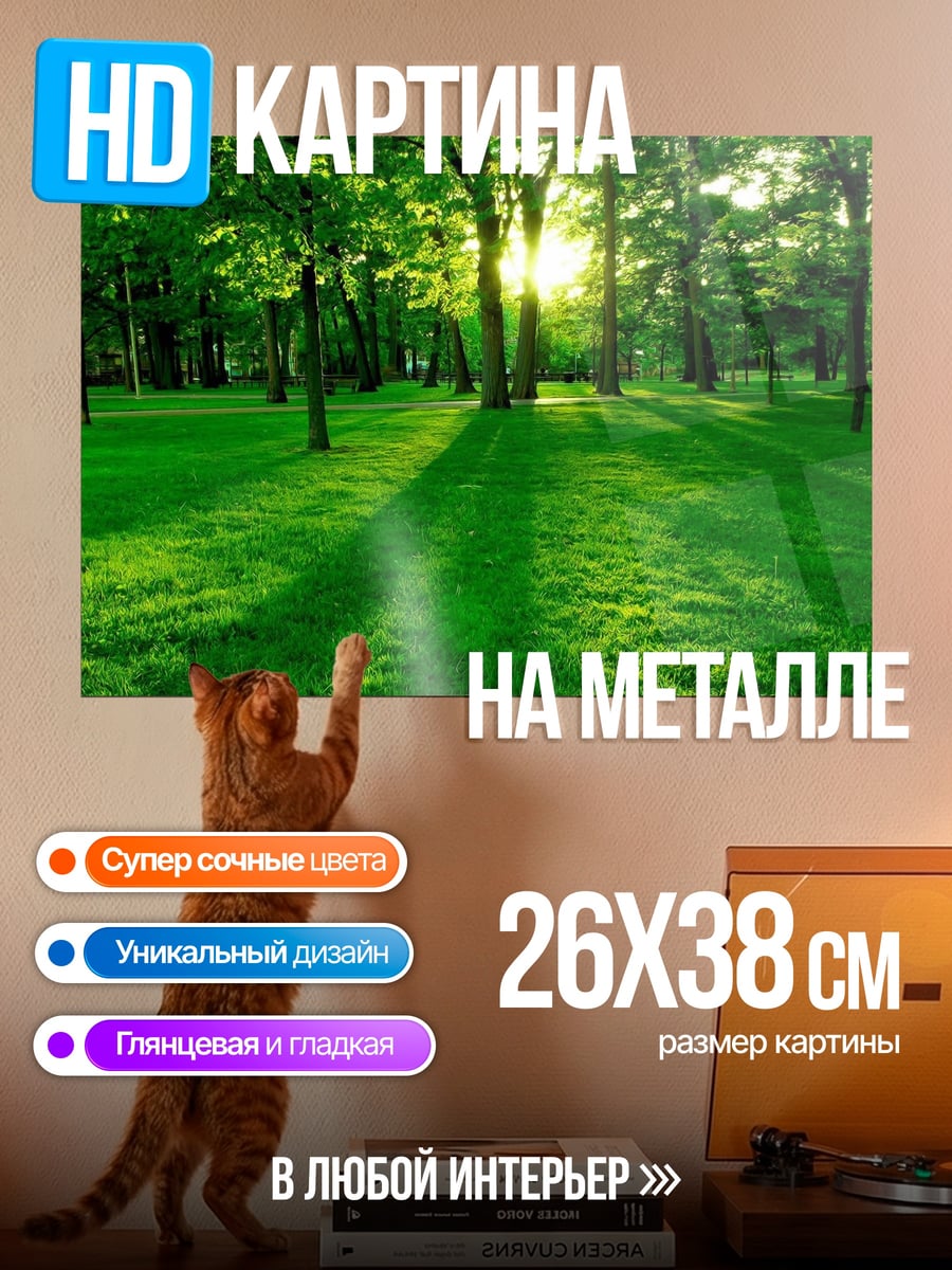 Картина на металле Солнечный лес
