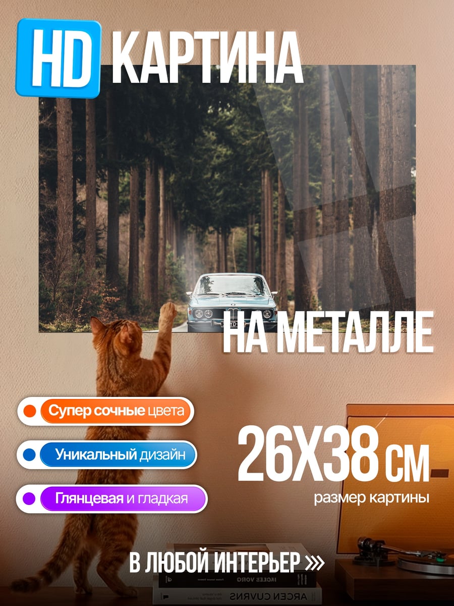 Картина на металле Автомобиль лесная дорога