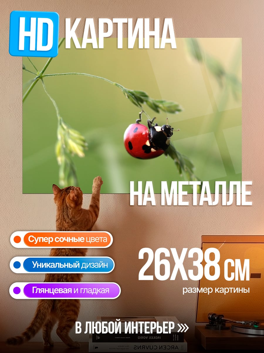 Картина на металле божья коровка