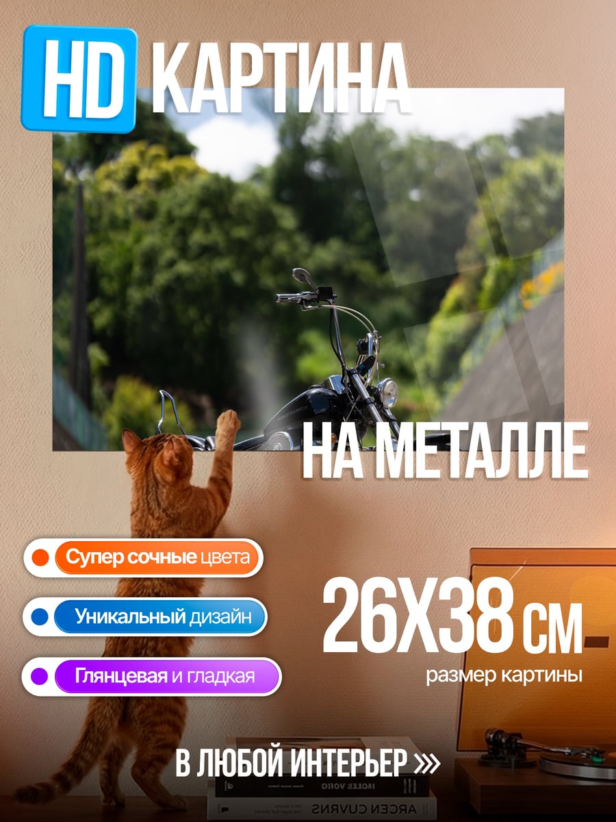 Картина на металле Мотоцикл на дороге
