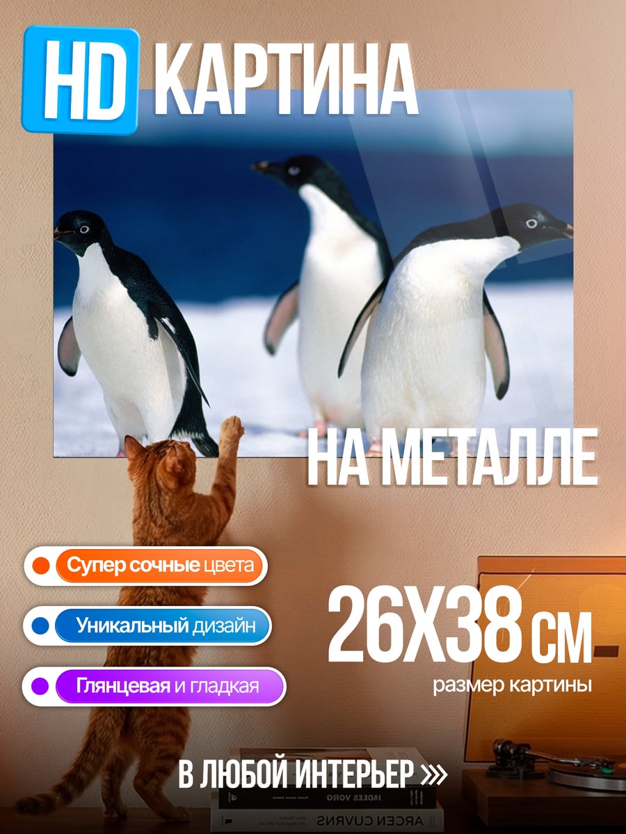 Картина на металле Пингвины на льду