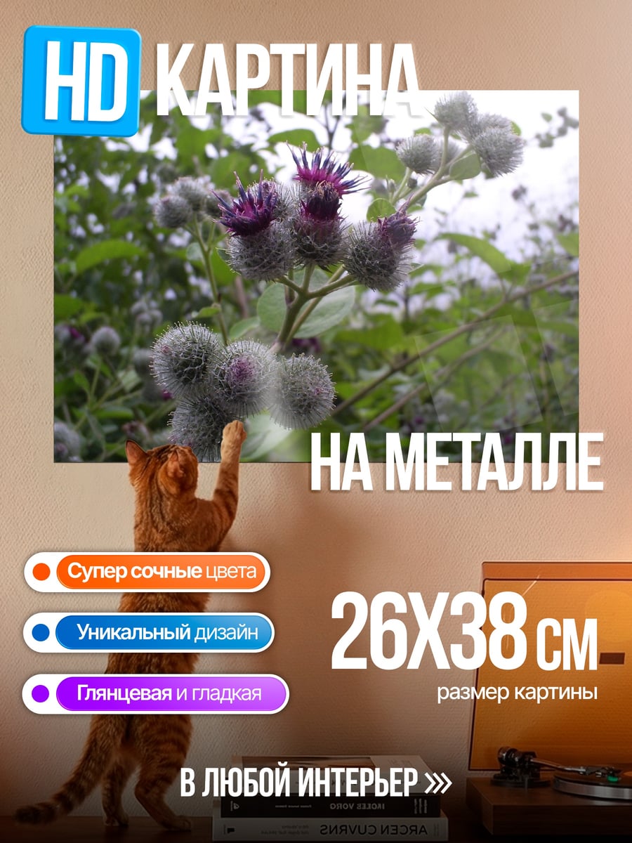Картина на металле Цветок лопуха