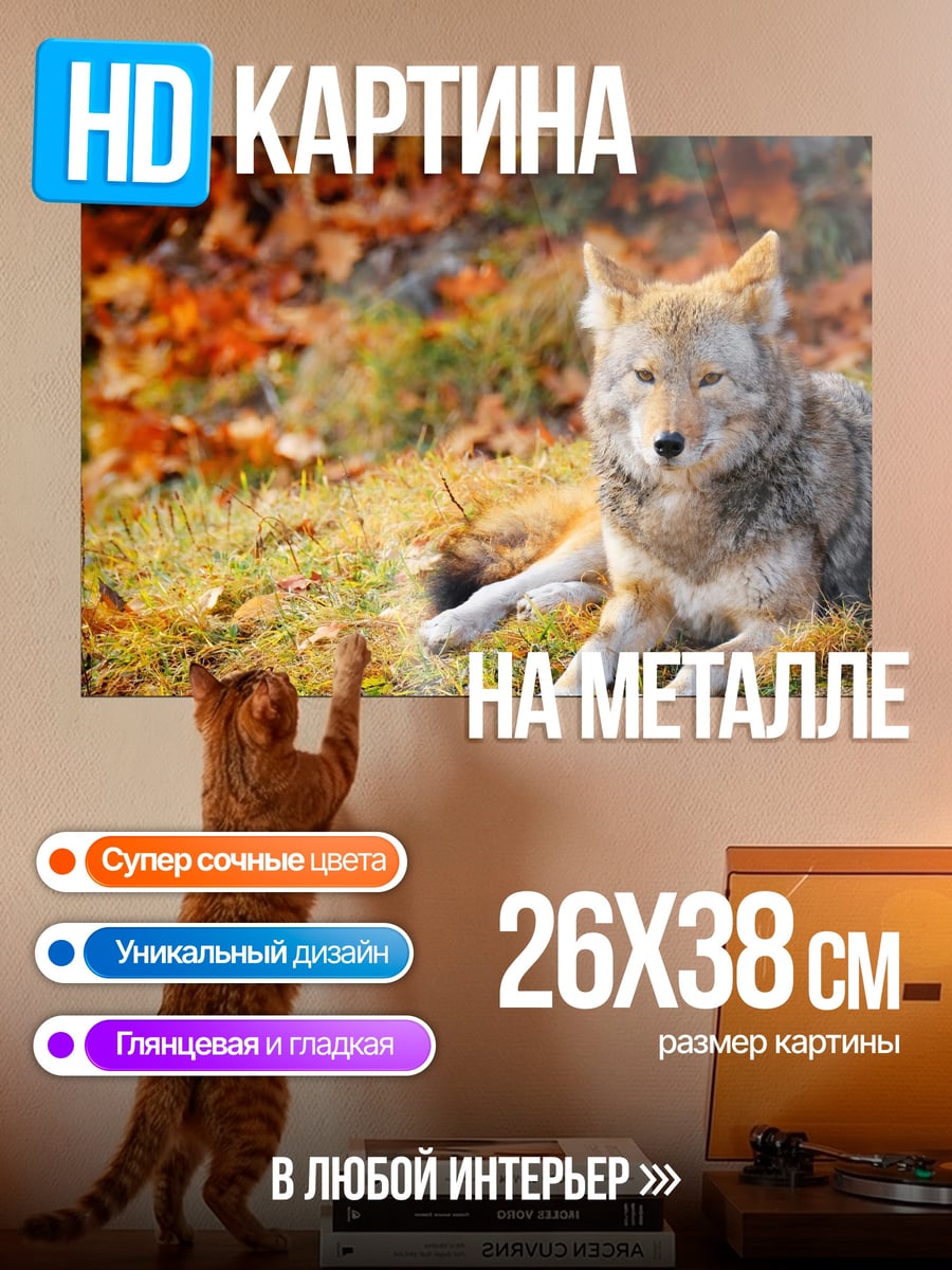Картина на металле койот осенью
