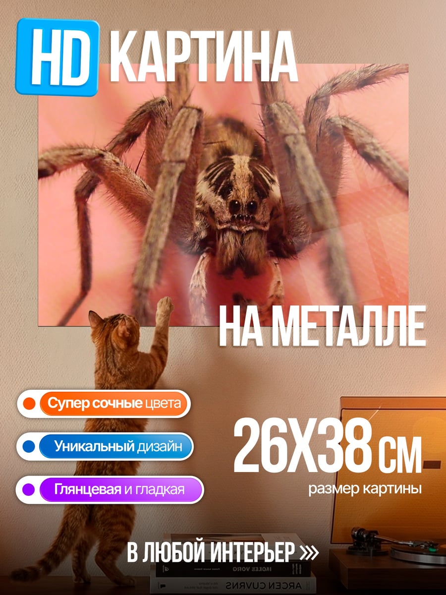 Картина на металле крупный план паука