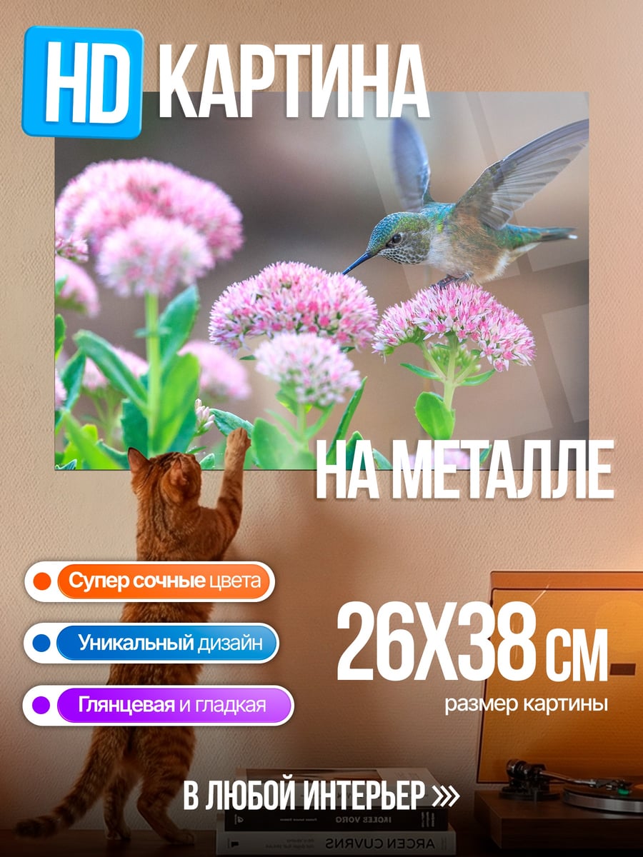 Картина на металле Колибри и цветы
