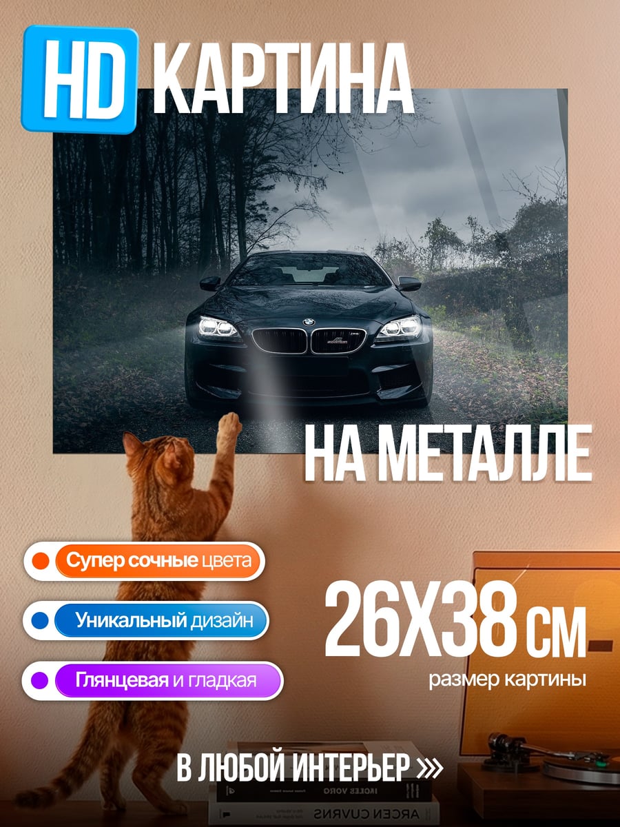 Картина на металле черный автомобиль лес
