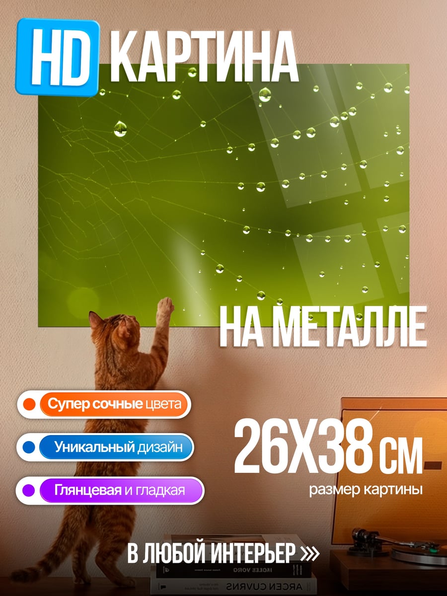 Картина на металле капли на паутине