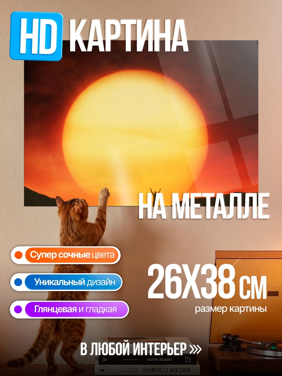 Картина на металле Человек на закате