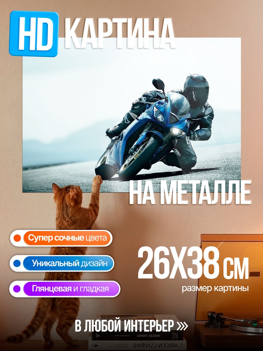 Картина на металле Спортивный мотоцикл гонщик