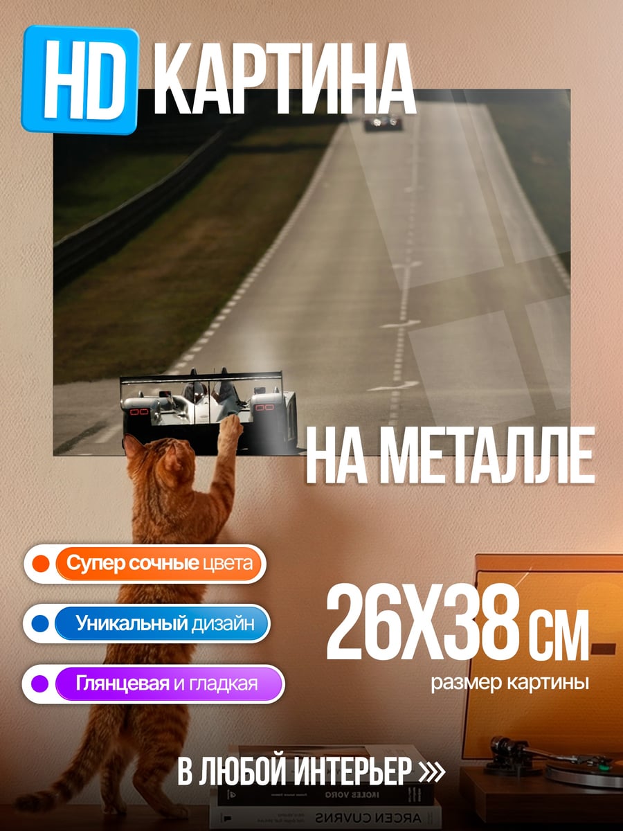Картина на металле Гонки на трассе