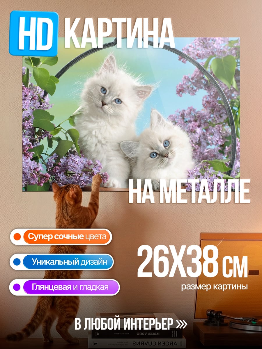 Картина на металле два пушистых котенка