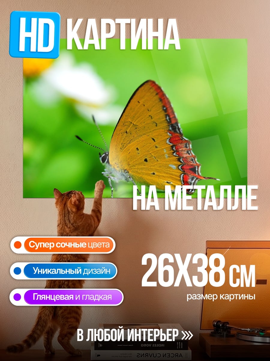 Картина на металле оранжевая бабочка на листе