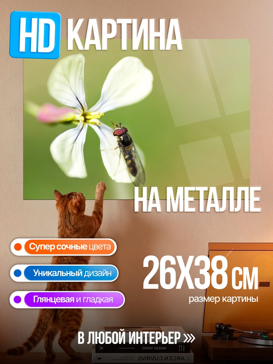 Картина на металле Муха на цветке