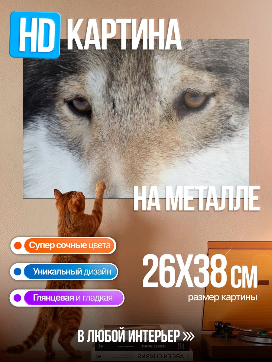 Картина на металле Крупный план волка