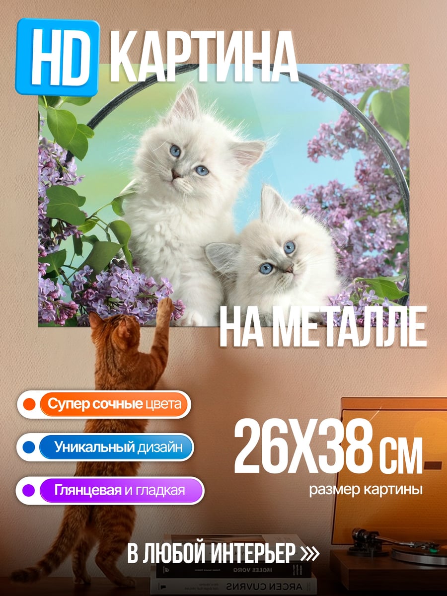 Картина на металле Пушистые котята в сирени