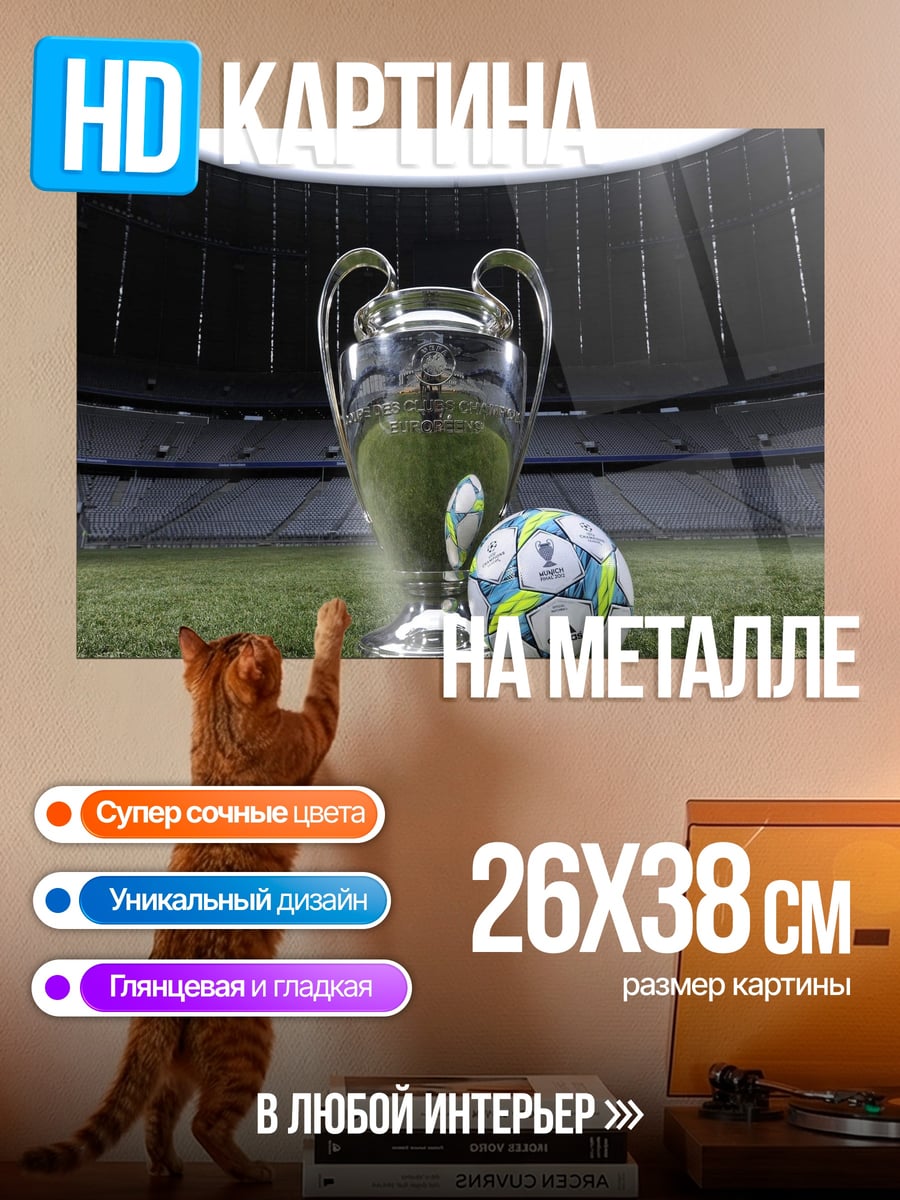 Картина на металле Кубок чемпионов футбол