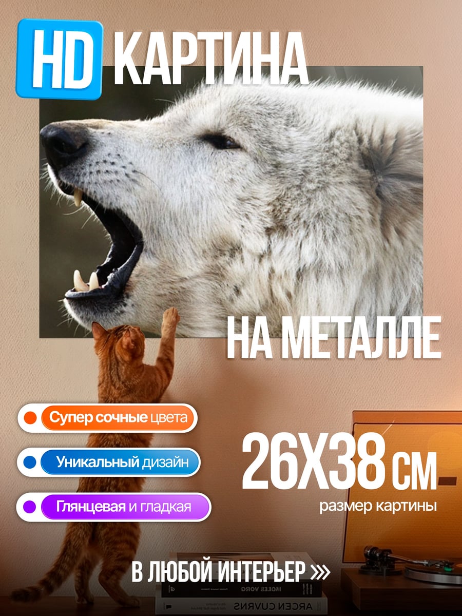 Картина на металле Воющий белый волк