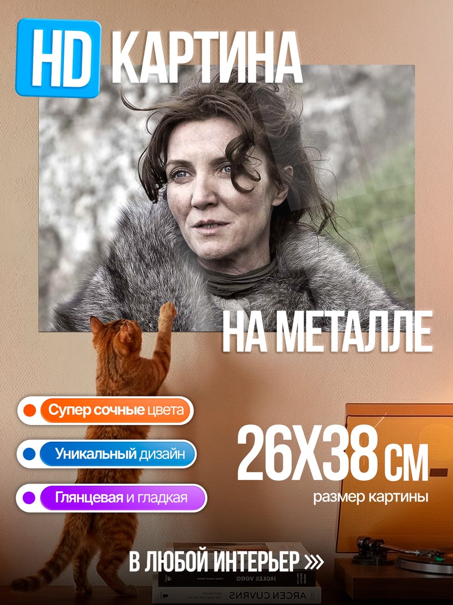 Картина на металле Женщина Севера
