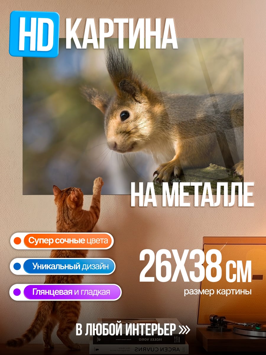 Картина на металле Рыжая белка крупным планом