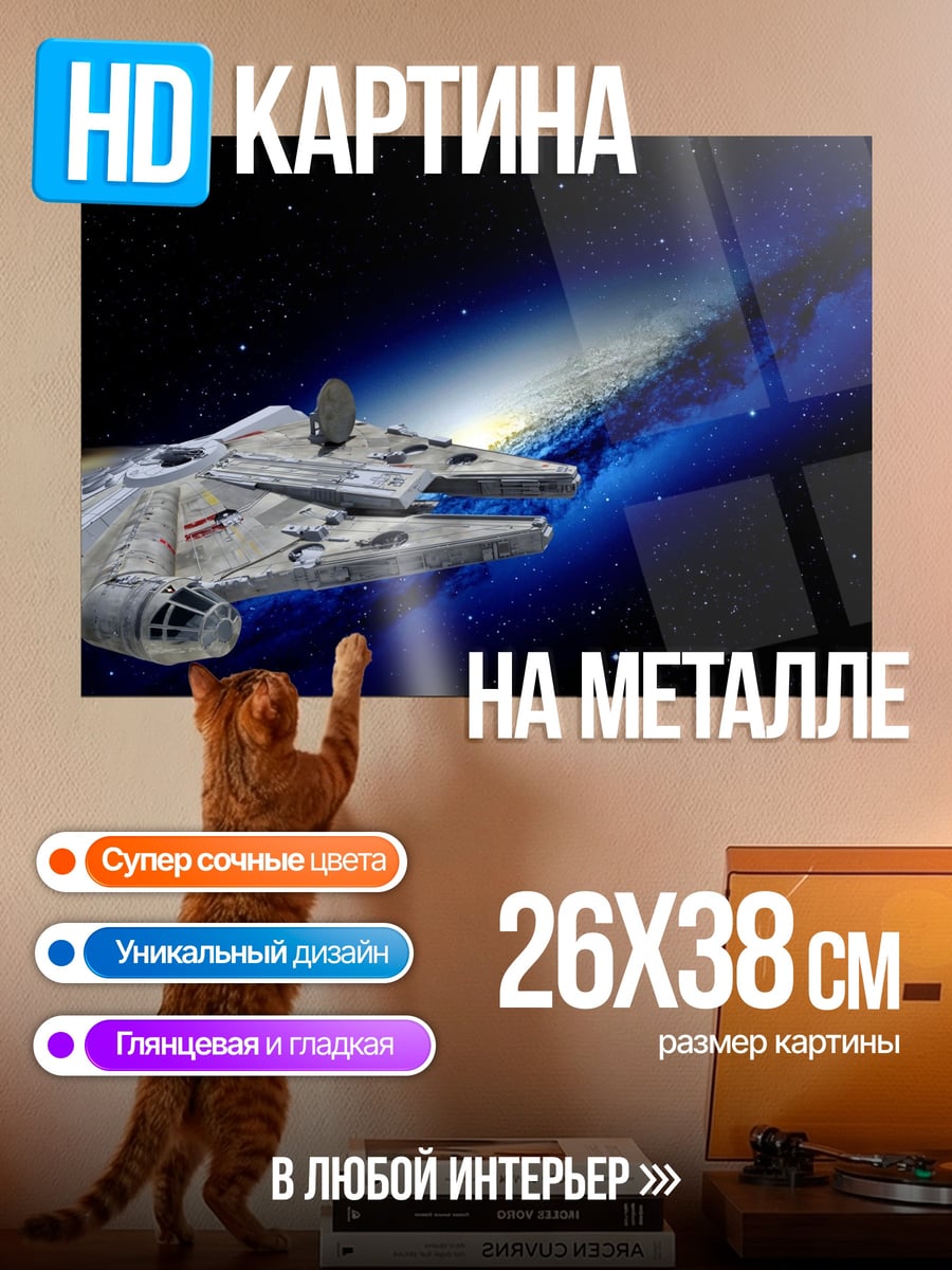 Картина на металле Сокол Тысячелетия