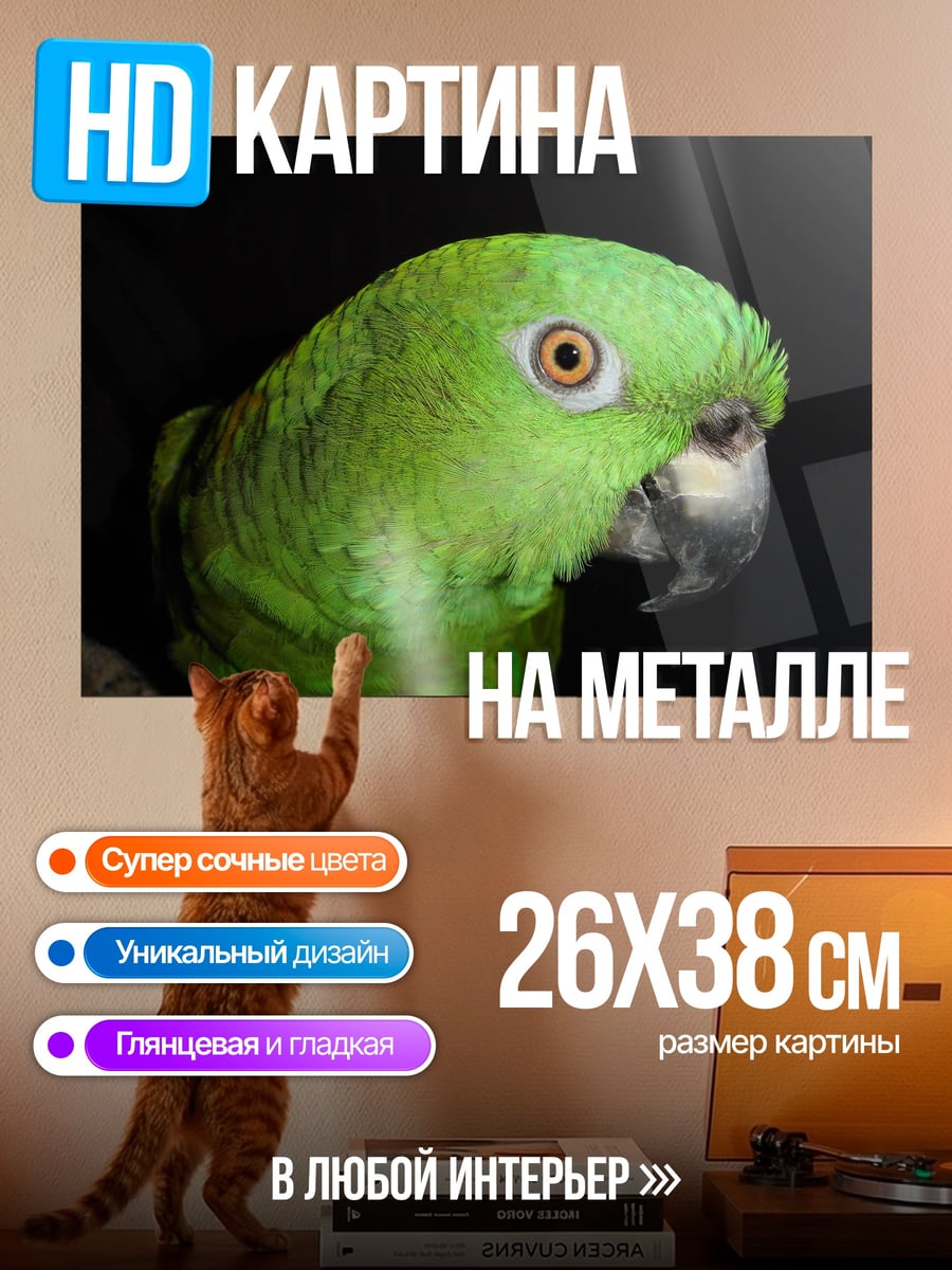 Картина на металле Зелёный попугай крупным планом