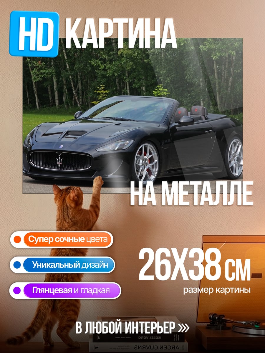 Картина на металле Черный спорткар