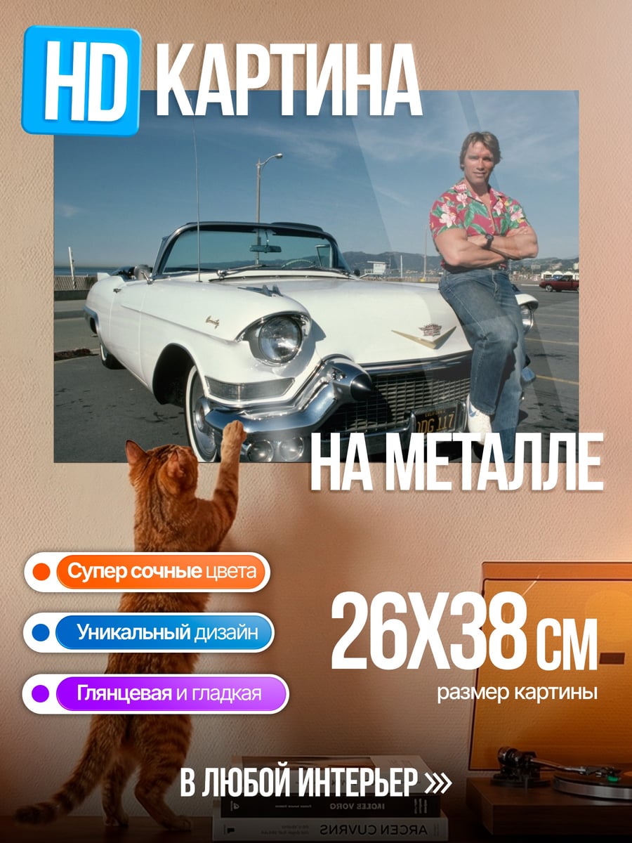 Картина на металле Арнольд Шварценеггер и Кадиллак