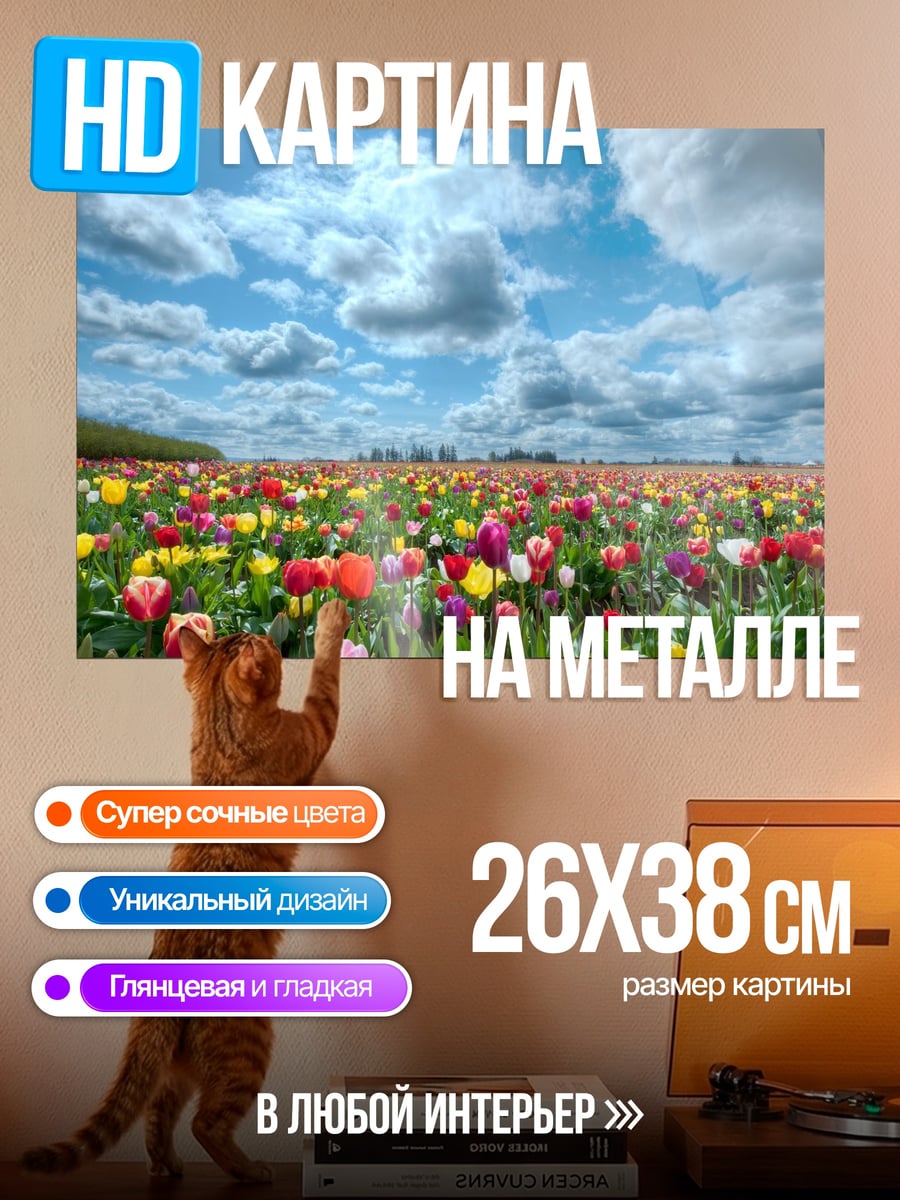 Картина на металле Поле тюльпанов