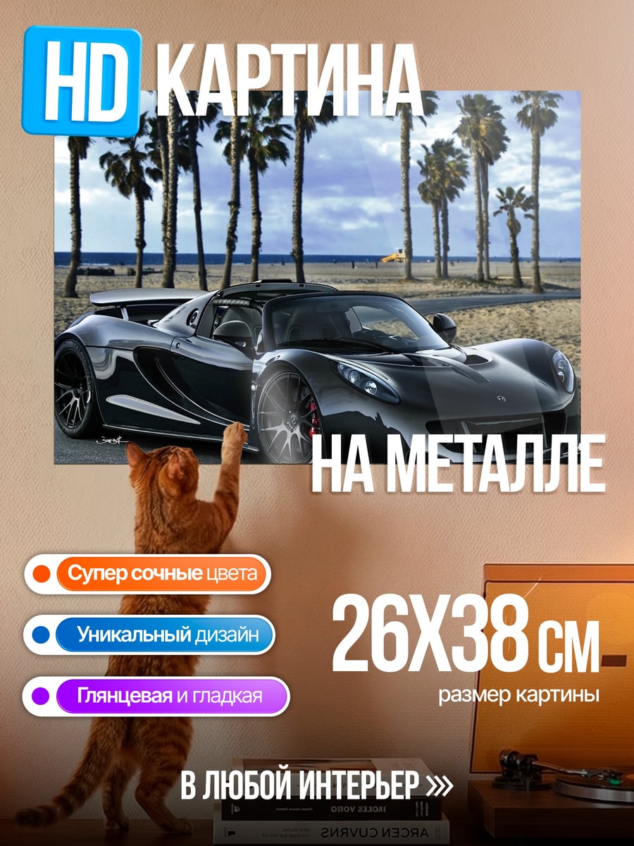 Картина на металле Черный суперкар