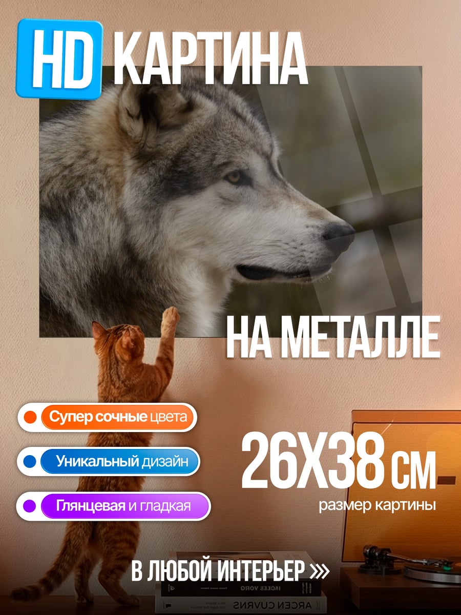 Картина на металле Портрет волка