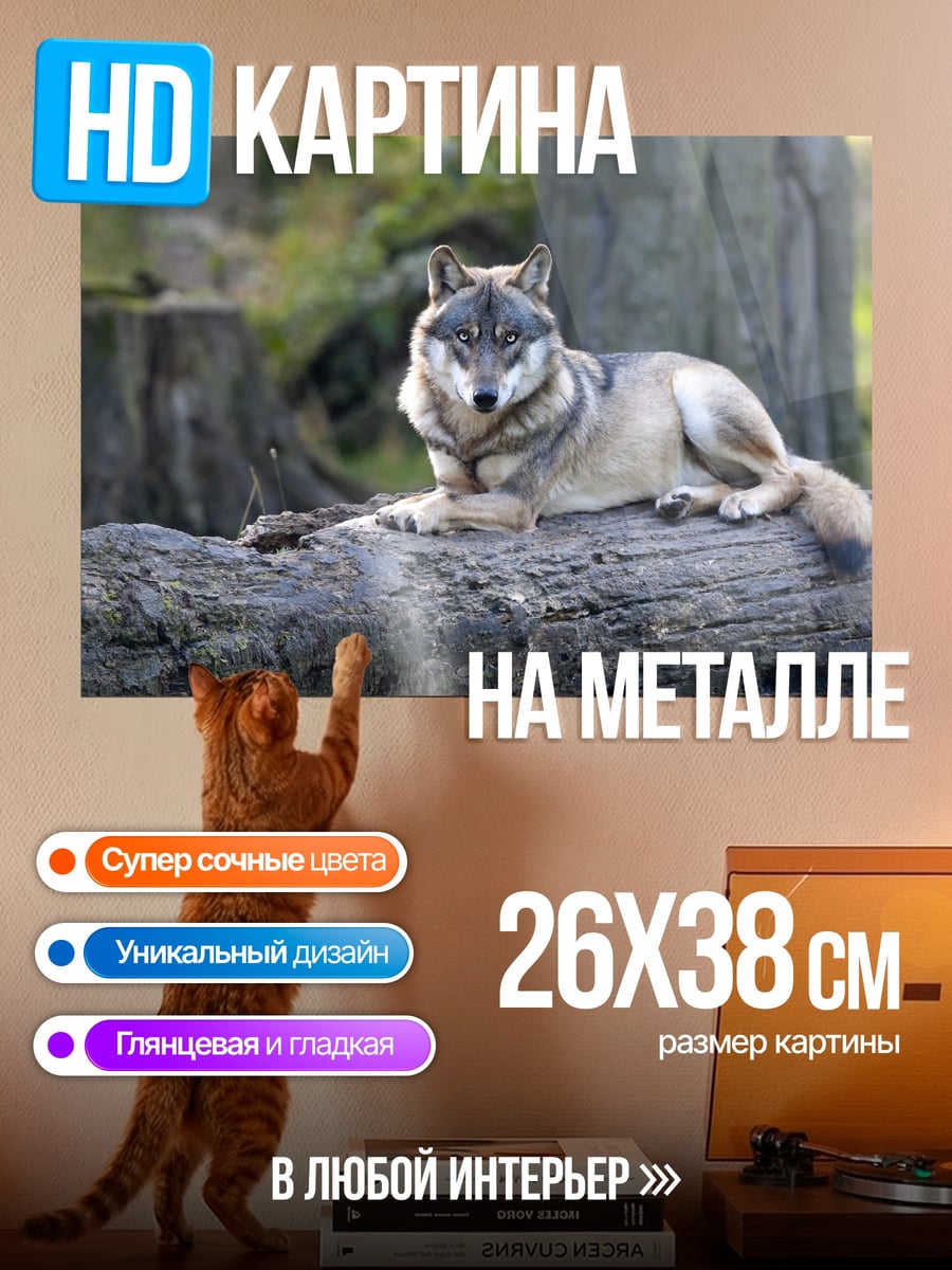 Картина на металле Волк на бревне