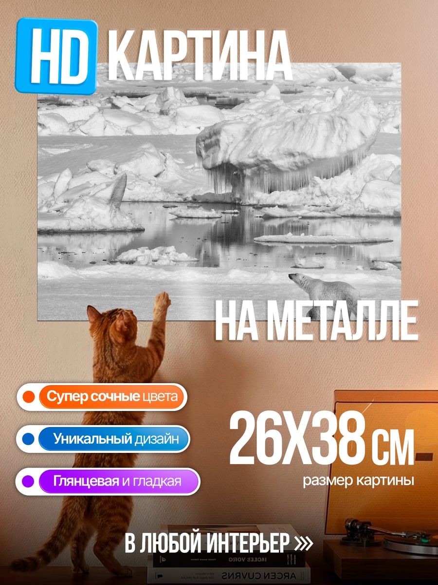 Картина на металле Белый медведь лёд
