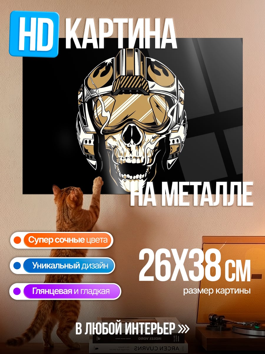 Картина на металле Череп пилота