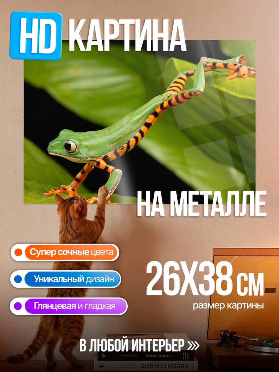 Картина на металле Зеленая лягушка