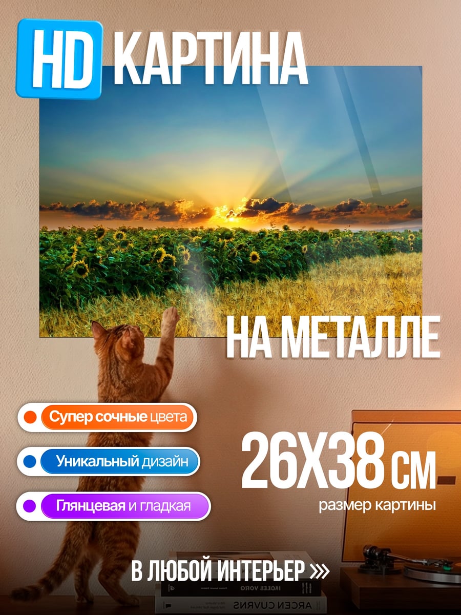 Картина на металле Поле подсолнухов закат