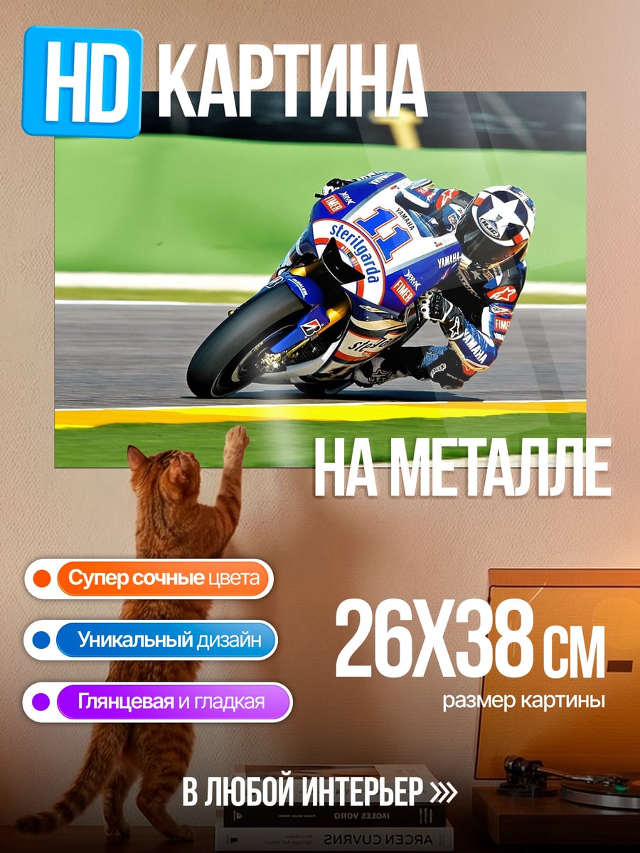 Картина на металле Гонщик на треке