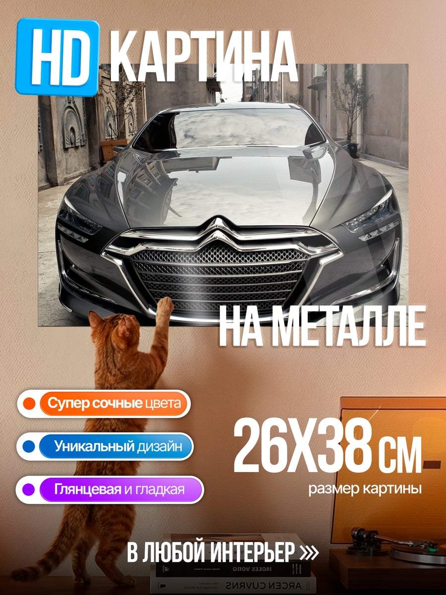 Картина на металле Концепткар Citroen