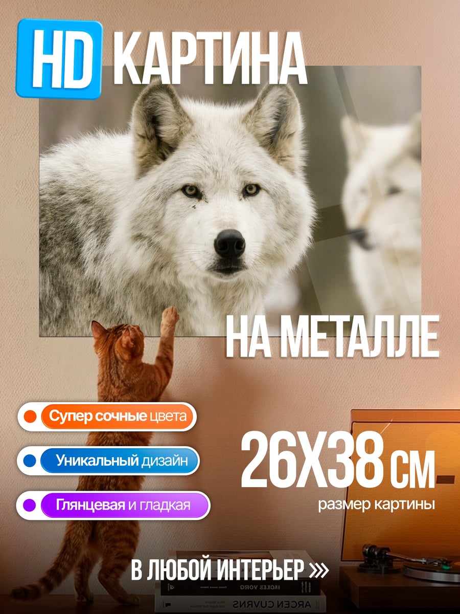 Картина на металле белые волки