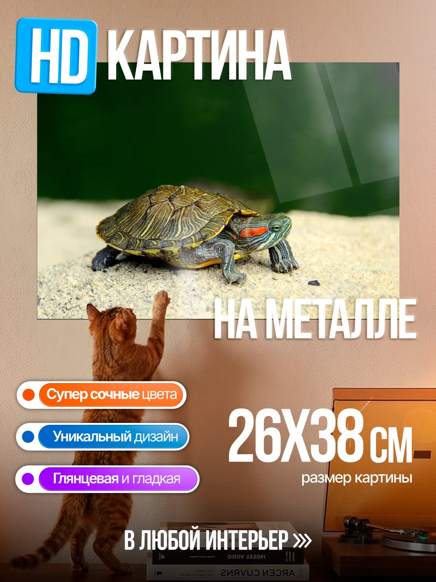 Картина на металле черепаха на песке