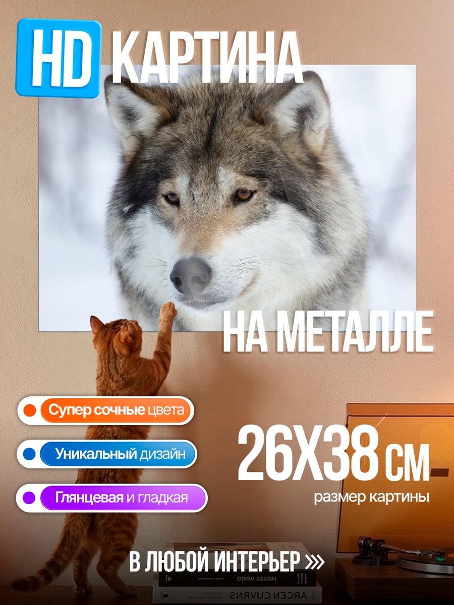 Картина на металле Волк