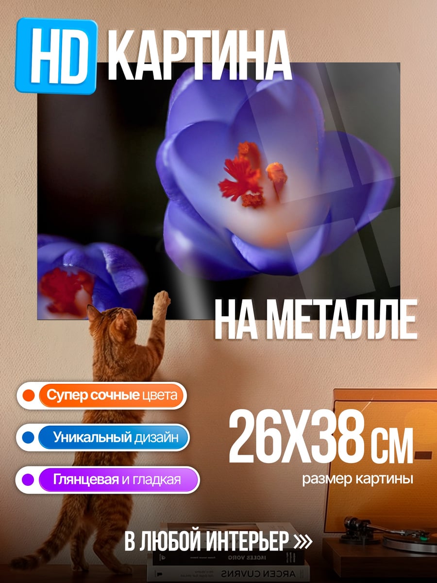 Картина на металле цветущий крокус