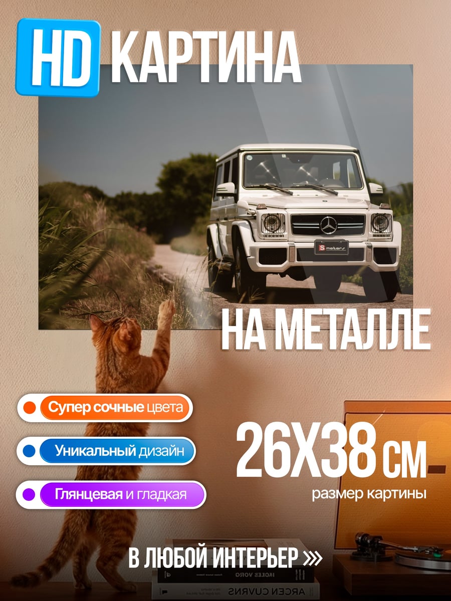 Картина на металле Белый Гелендваген в поле