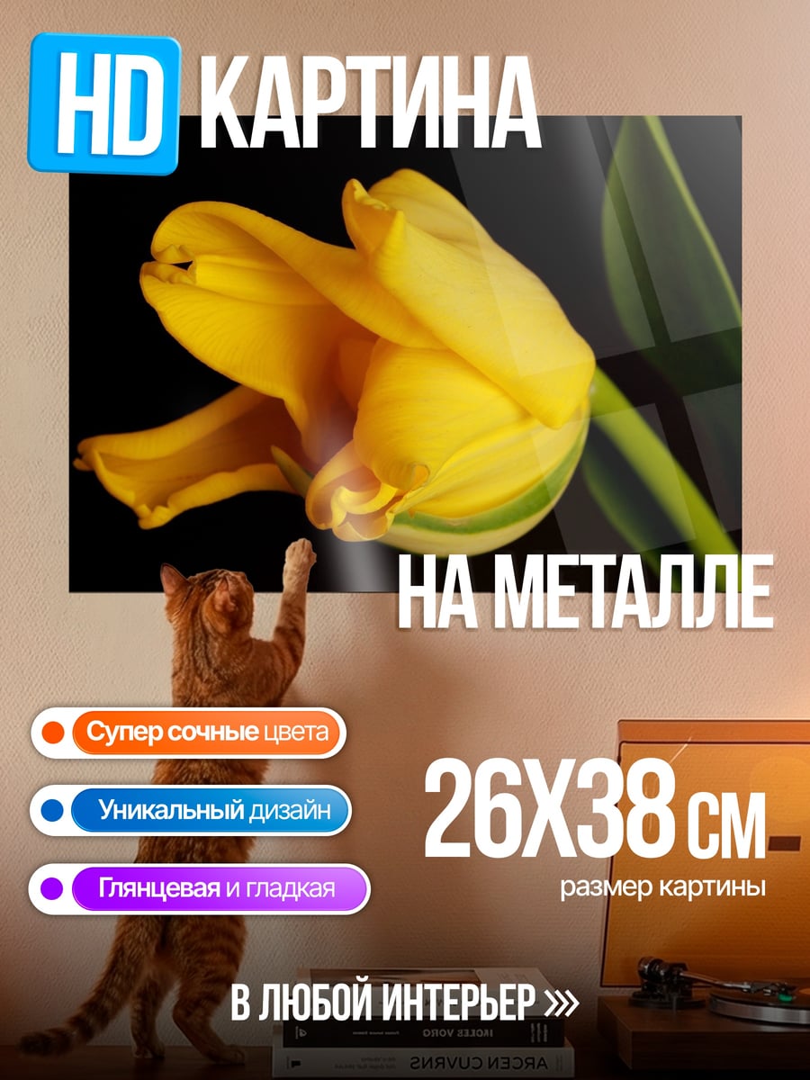 Картина на металле Желтый тюльпан