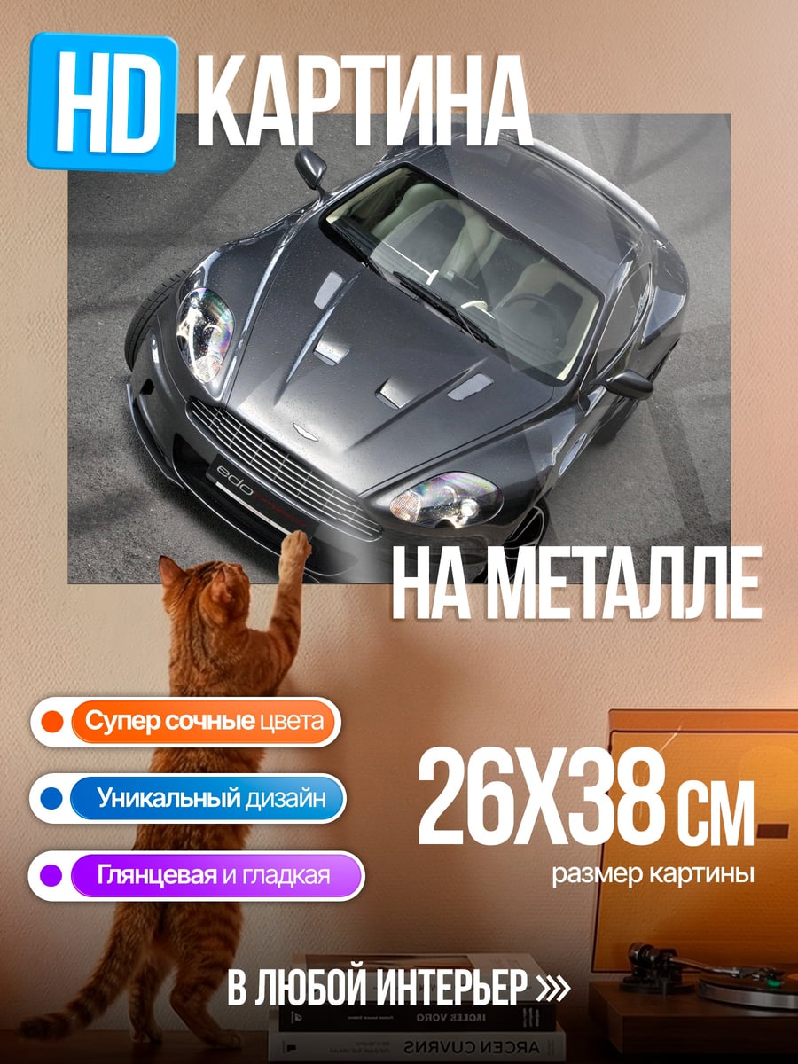 Картина на металле Спортивный автомобиль серый