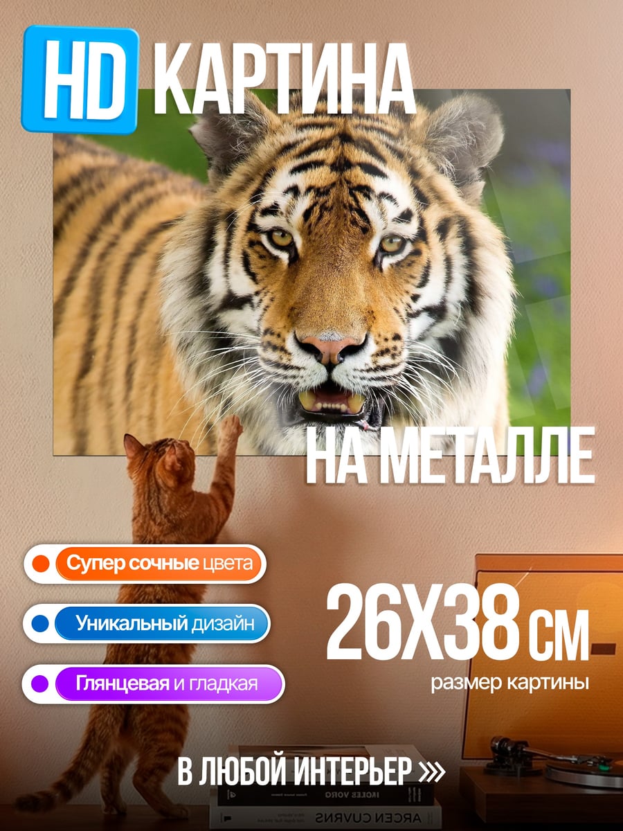 Картина на металле Крупный план тигра