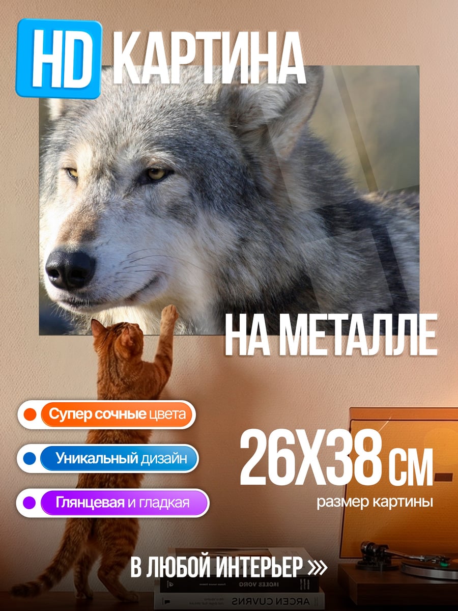 Картина на металле Портрет волка